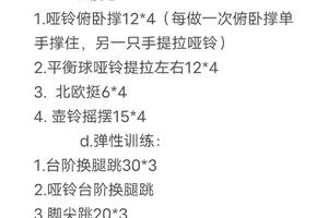  健身爱好者如何结合智能篮板进行综合训练